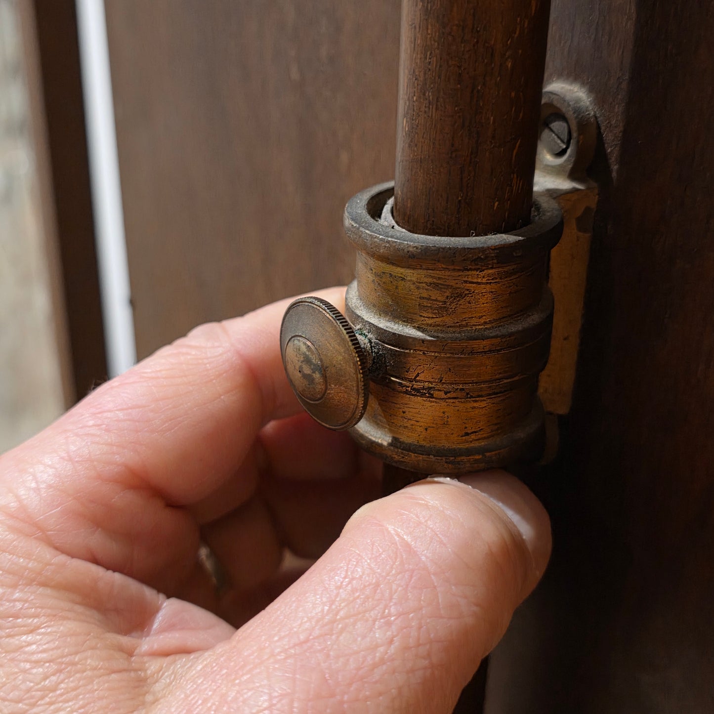 Fine Pair of Early Victorian Rosewood Pole Screens with Embroidered Silk Panels