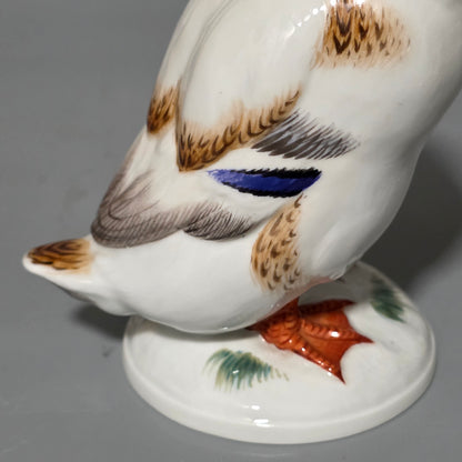 Exquisite Large Meissen Vintage Duck 14.4cm