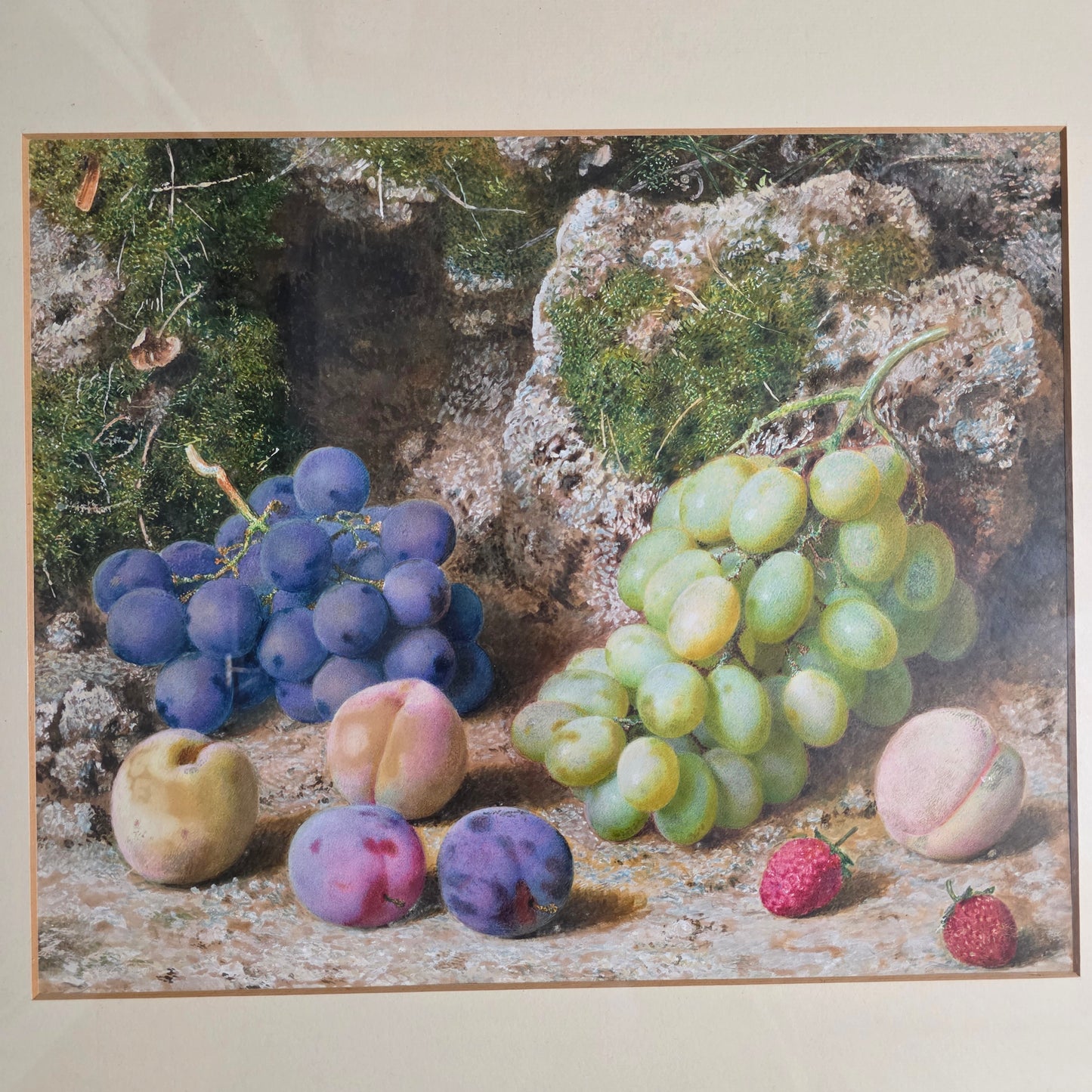 Fabulous Watercolour Still Life Fruit By John Sherrin (british, 1819 - 1896)