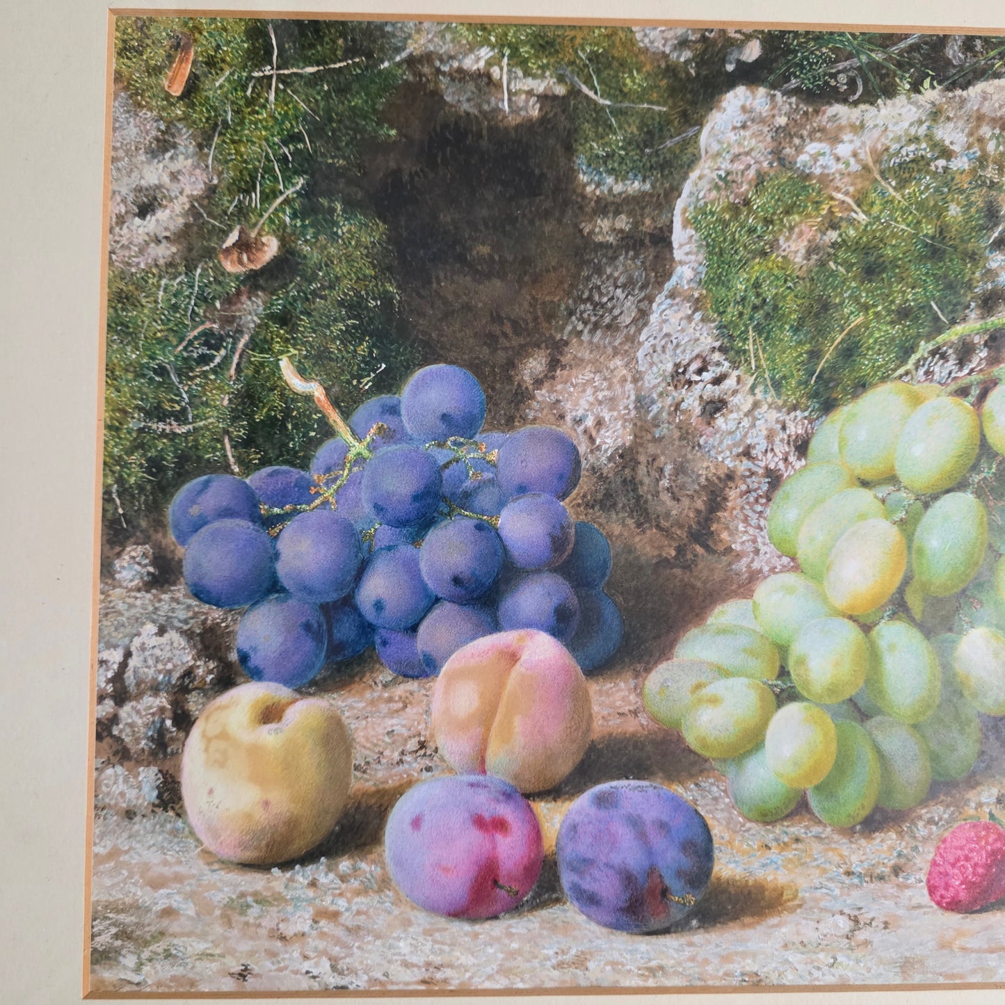 Fabulous Watercolour Still Life Fruit By John Sherrin (british, 1819 - 1896)