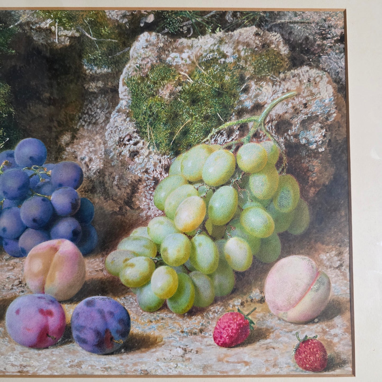Fabulous Watercolour Still Life Fruit By John Sherrin (british, 1819 - 1896)