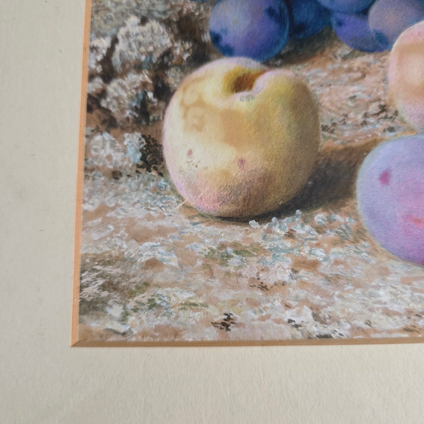 Fabulous Watercolour Still Life Fruit By John Sherrin (british, 1819 - 1896)