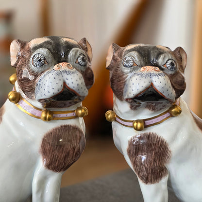 Charming Rare Pair Of Dresden Saxon Porcelain Pug Dog Figurines – Male & Female | Early 20th Century