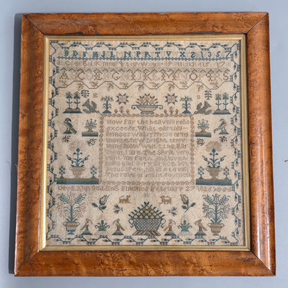 Exquisite Framed Antique Sampler, by Olive Ann Sedding, Feb 27th 1826